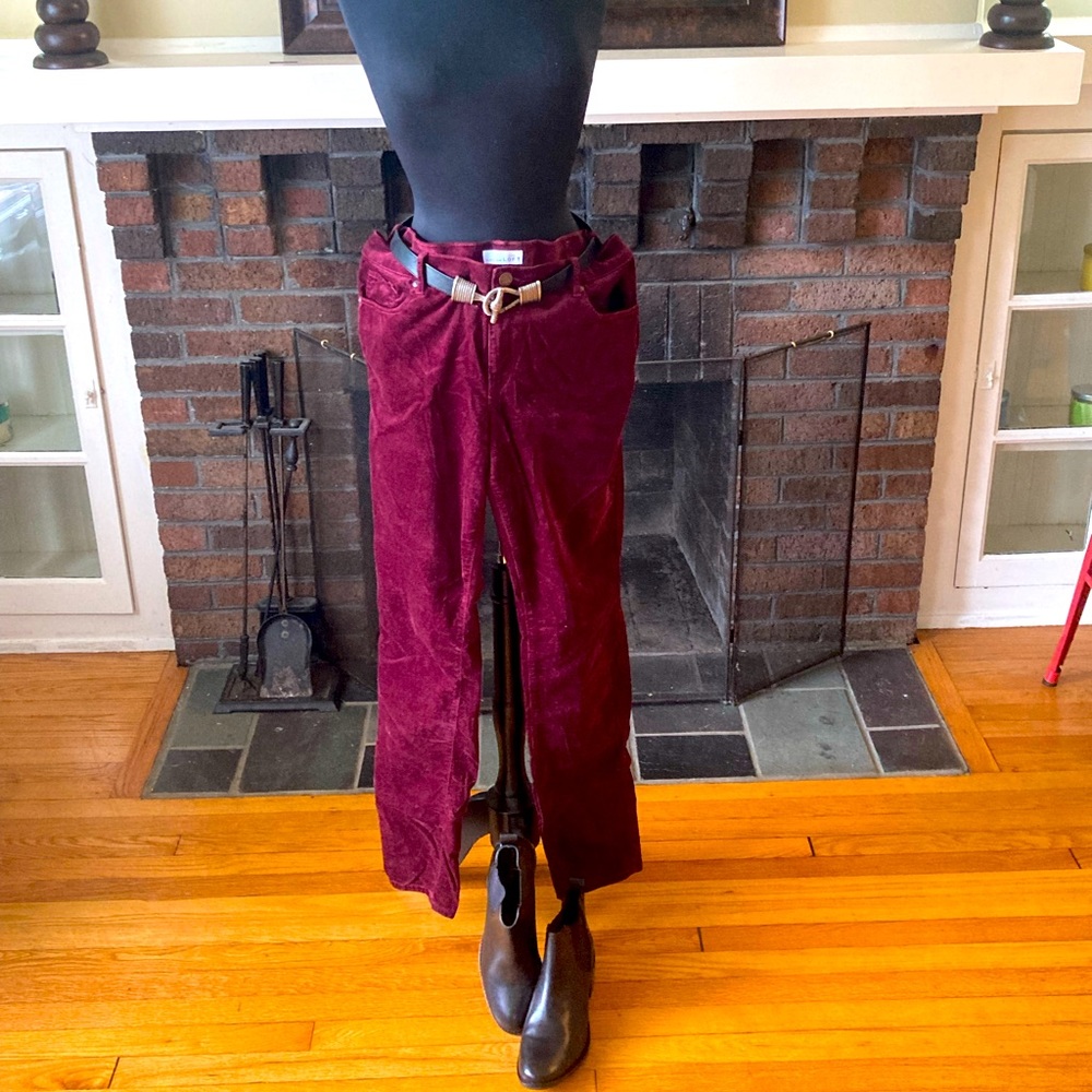 ANN TAYLOR LOFT PANTS